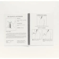 Kinesio Illustrated Kinesio Taping Book (4th Edition) -Sports Protective Gear Store kinesio illustrated kinesio taping book fourth edition12
